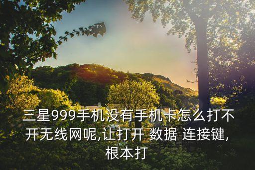  三星999手機沒有手機卡怎么打不開無線網(wǎng)呢,讓打開 數(shù)據(jù) 連接鍵,根本打