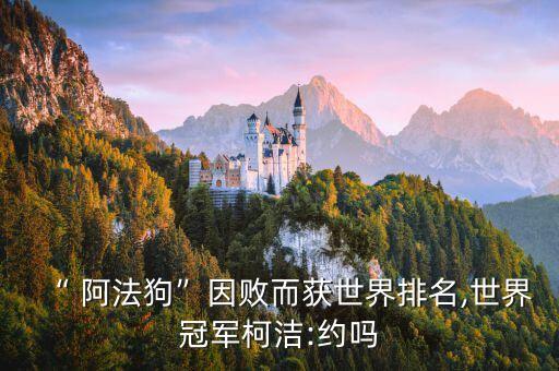 “ 阿法狗”因敗而獲世界排名,世界冠軍柯潔:約嗎