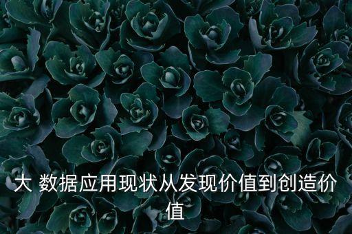 大 數(shù)據(jù)應(yīng)用現(xiàn)狀從發(fā)現(xiàn)價(jià)值到創(chuàng)造價(jià)值