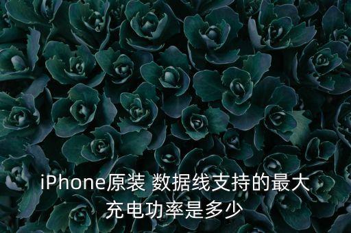 iPhone原裝 數(shù)據(jù)線支持的最大充電功率是多少