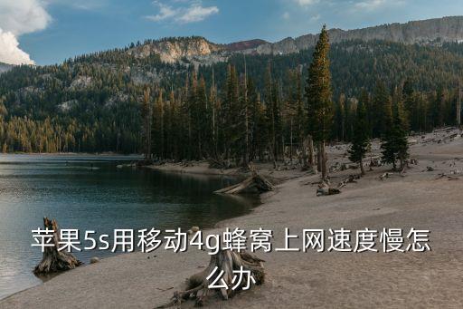 蘋果5s用移動4g蜂窩上網(wǎng)速度慢怎么辦
