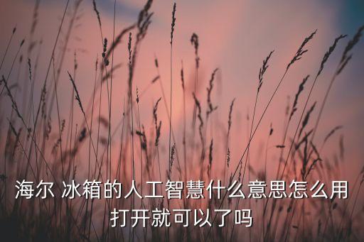 海爾 冰箱的人工智慧什么意思怎么用打開就可以了嗎