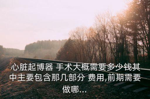  心臟起博器 手術(shù)大概需要多少錢(qián)其中主要包含那幾部分 費(fèi)用,前期需要做哪...