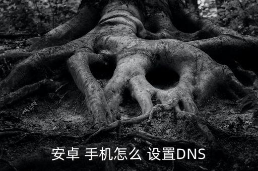 安卓 手機(jī)怎么 設(shè)置DNS