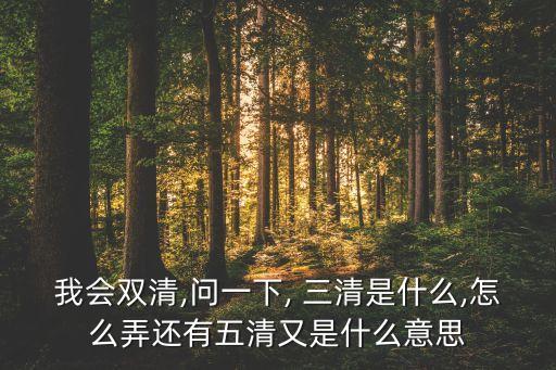 我會雙清,問一下, 三清是什么,怎么弄還有五清又是什么意思