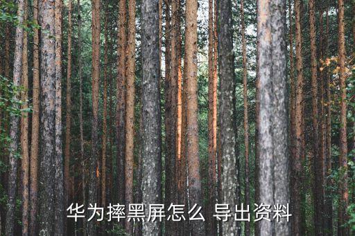  華為摔黑屏怎么 導(dǎo)出資料