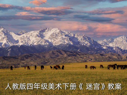 人教版四年級美術(shù)下冊《 迷宮》教案