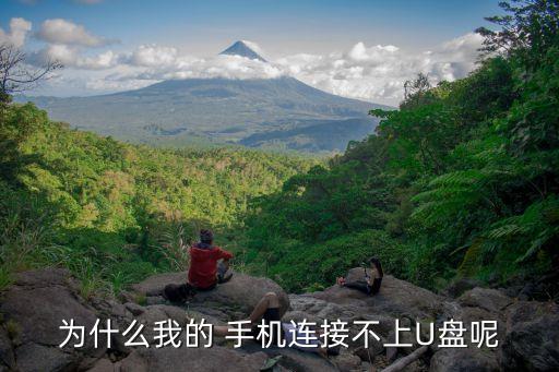 為什么我的 手機(jī)連接不上U盤呢
