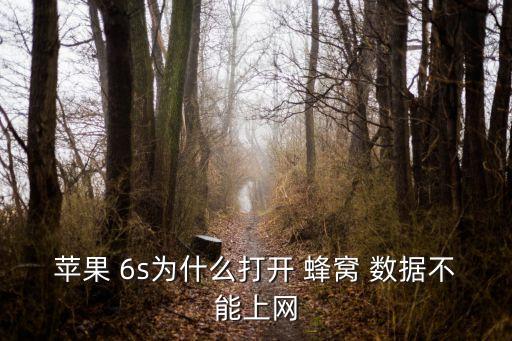 蘋果 6s為什么打開 蜂窩 數(shù)據(jù)不能上網(wǎng)