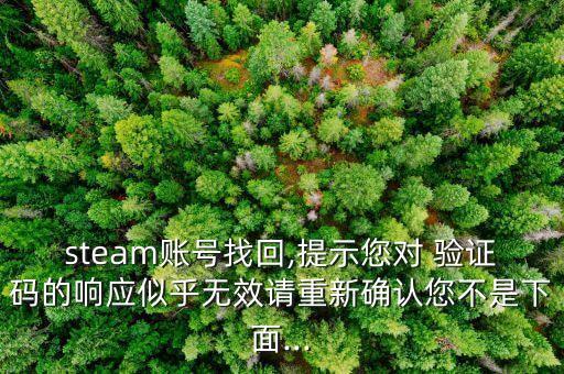 steam賬號(hào)找回,提示您對(duì) 驗(yàn)證碼的響應(yīng)似乎無效請(qǐng)重新確認(rèn)您不是下面...