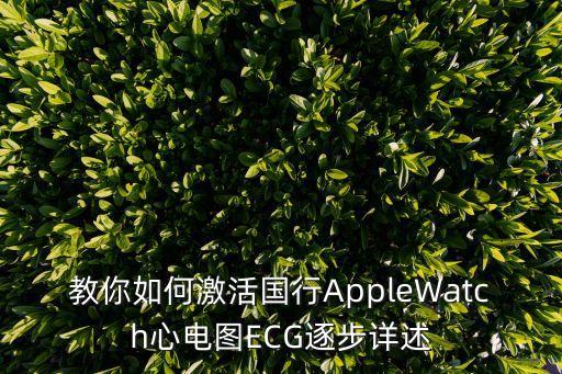 教你如何激活國行AppleWatch心電圖ECG逐步詳述