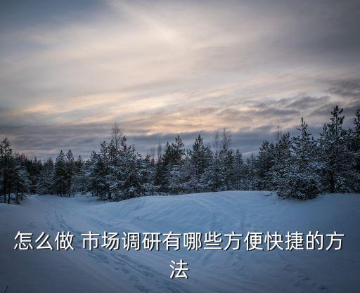 市場(chǎng)研究數(shù)據(jù)分析方法