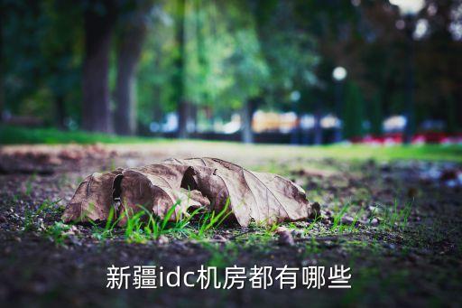 電信有多少數(shù)據(jù)中心,電信數(shù)據(jù)中心是干什么的