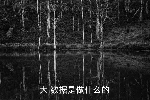 大 數(shù)據(jù)是做什么的