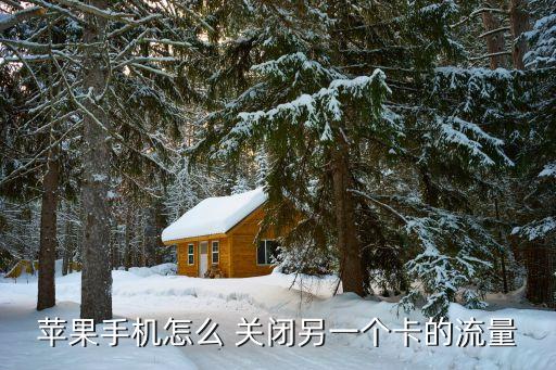 卡2移動(dòng)數(shù)據(jù)關(guān)閉,移動(dòng)卡數(shù)據(jù)關(guān)閉怎么還是產(chǎn)生流量