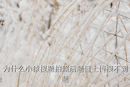 為什么小猿搜題拍照后題目上傳搜不到題