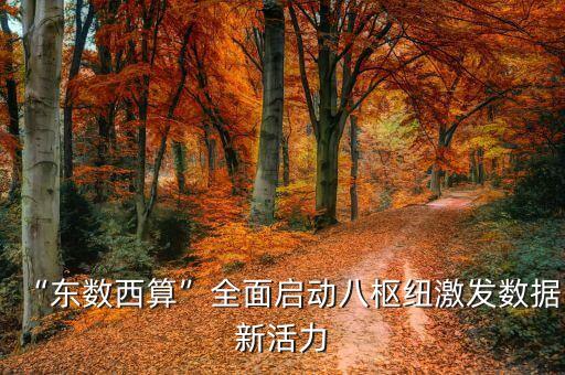 “東數(shù)西算”全面啟動八樞紐激發(fā)數(shù)據(jù)新活力
