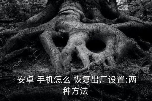  安卓 手機(jī)怎么 恢復(fù)出廠設(shè)置:兩種方法