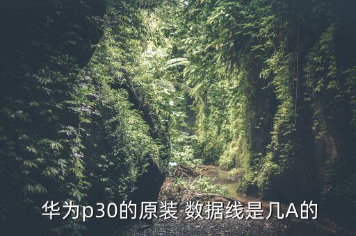  華為p30的原裝 數(shù)據(jù)線是幾A的