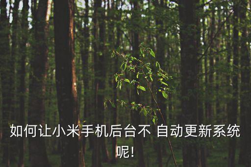 如何讓小米手機后臺不 自動更新系統(tǒng)呢!