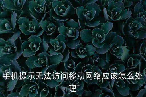 移動數(shù)據(jù)網(wǎng)設(shè)置,oppo手機沒有移動數(shù)據(jù)網(wǎng)