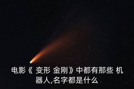 電影《 變形 金剛》中都有那些 機器人,名字都是什么