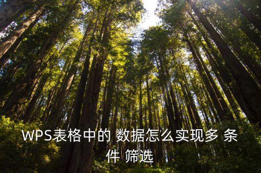 wps按條件篩選數(shù)據(jù)