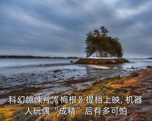 韓國(guó)機(jī)器人公仔叫什么名字