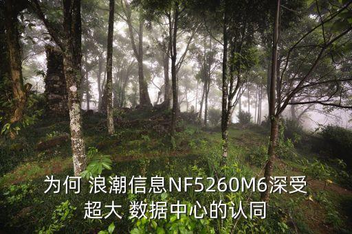 為何 浪潮信息NF5260M6深受超大 數(shù)據(jù)中心的認同