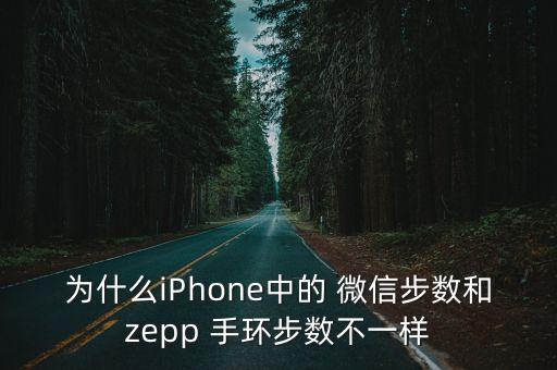為什么iPhone中的 微信步數(shù)和zepp 手環(huán)步數(shù)不一樣