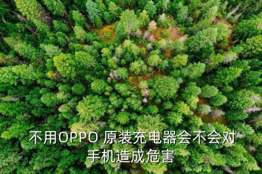  不用OPPO 原裝充電器會(huì)不會(huì)對(duì)手機(jī)造成危害
