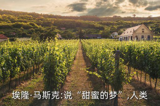 埃隆·馬斯克:說“甜蜜的夢”,人類