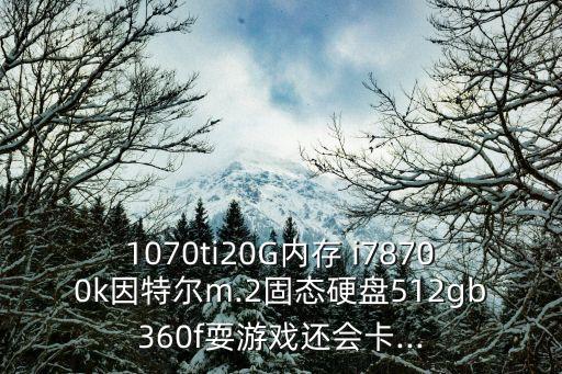 1070ti20G內(nèi)存 i78700k因特爾m.2固態(tài)硬盤512gb360f耍游戲還會卡...