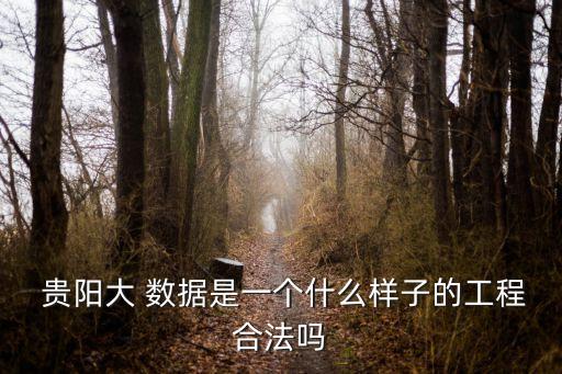  貴陽大 數(shù)據(jù)是一個什么樣子的工程合法嗎