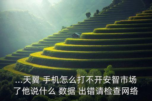 ...天翼 手機(jī)怎么打不開安智市場了他說什么 數(shù)據(jù) 出錯(cuò)請(qǐng)檢查網(wǎng)絡(luò)