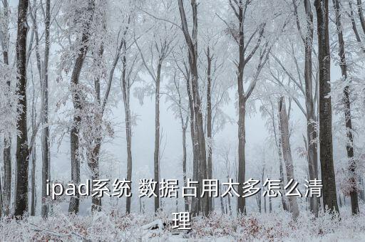 如何刪除ipad程序數(shù)據(jù),ipad刪除不用的程序怎么取消