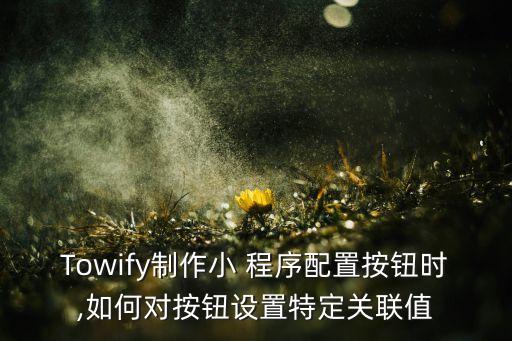 Towify制作小 程序配置按鈕時(shí),如何對(duì)按鈕設(shè)置特定關(guān)聯(lián)值