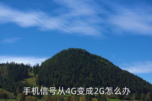 手機(jī)打開(kāi)數(shù)據(jù)就2g,手機(jī)數(shù)據(jù)打開(kāi)顯示網(wǎng)絡(luò)無(wú)法使用