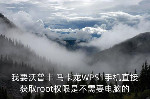 我要沃普豐 馬卡龍WPS1手機直接獲取root權(quán)限是不需要電腦的
