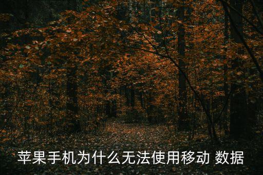 蘋(píng)果手機(jī)為什么無(wú)法使用移動(dòng) 數(shù)據(jù)