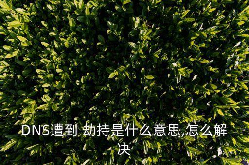 DNS遭到 劫持是什么意思,怎么解決