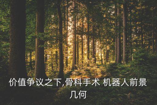 價(jià)值爭議之下,骨科手術(shù) 機(jī)器人前景幾何