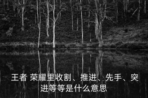  王者 榮耀里收割、推進、先手、突進等等是什么意思