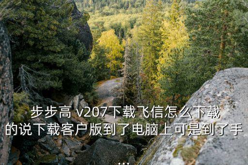  步步高 v207下載飛信怎么下載的說下載客戶版到了電腦上可是到了手...