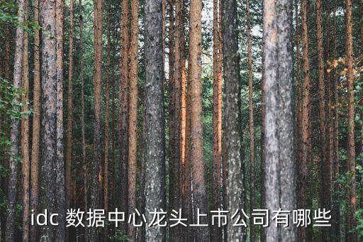 大唐數(shù)據(jù)中心,大唐高鴻上海數(shù)據(jù)中心