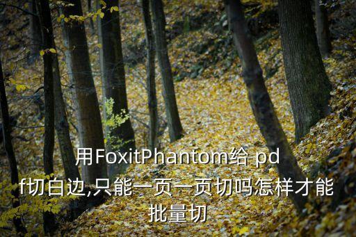 用FoxitPhantom給 pdf切白邊,只能一頁(yè)一頁(yè)切嗎怎樣才能批量切