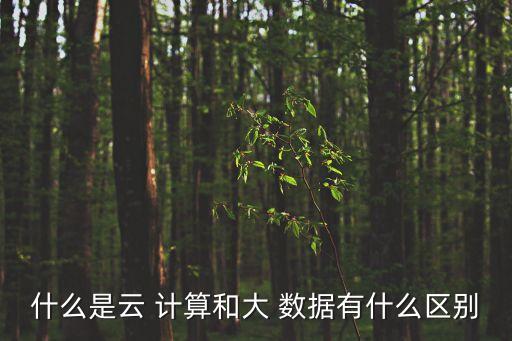 什么是云 計(jì)算和大 數(shù)據(jù)有什么區(qū)別