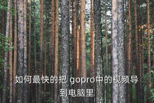 如何最快的把 gopro中的視頻導(dǎo)到電腦里