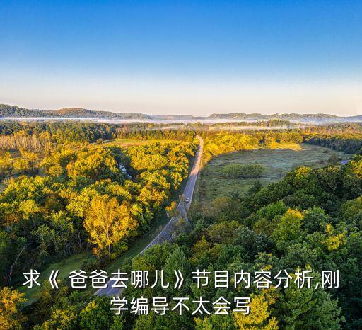 求《 爸爸去哪兒》節(jié)目?jī)?nèi)容分析,剛學(xué)編導(dǎo)不太會(huì)寫