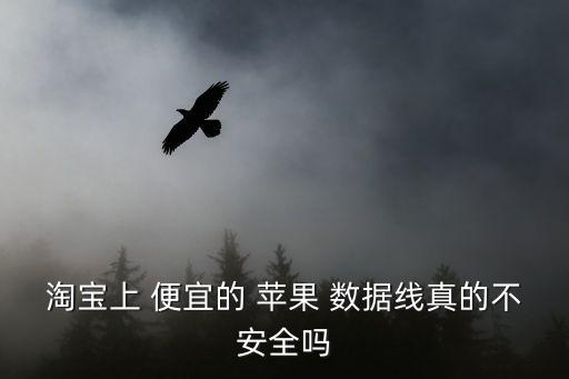 便宜買(mǎi)正品蘋(píng)果數(shù)據(jù)線,便宜的蘋(píng)果數(shù)據(jù)線對(duì)手機(jī)有影響嗎
